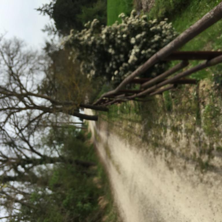 Azienda Agrituristica I Tre Casali มาจิโอเน ภายนอก รูปภาพ