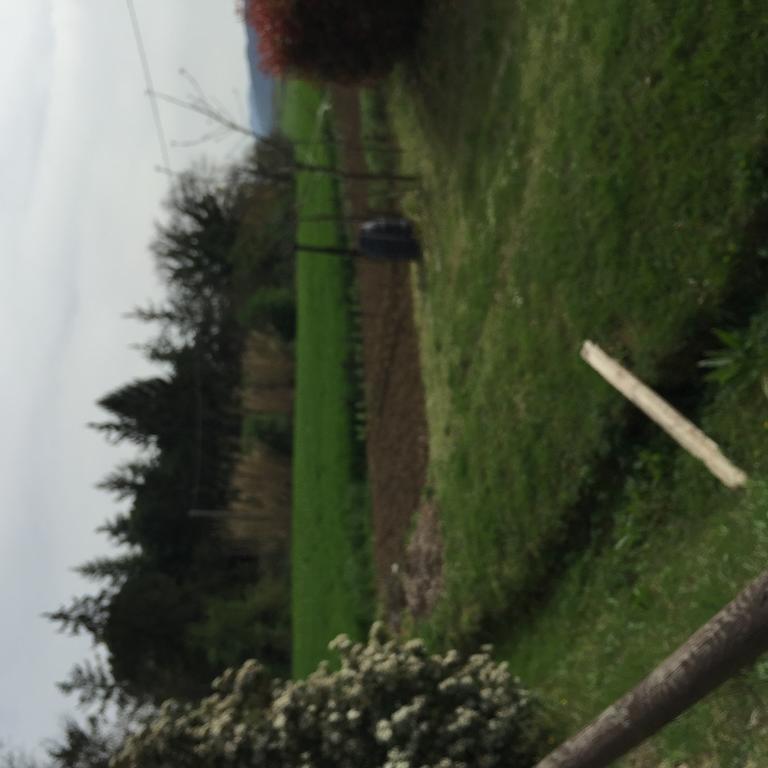 Azienda Agrituristica I Tre Casali มาจิโอเน ภายนอก รูปภาพ