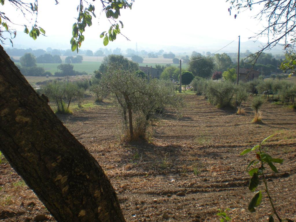Azienda Agrituristica I Tre Casali มาจิโอเน ภายนอก รูปภาพ