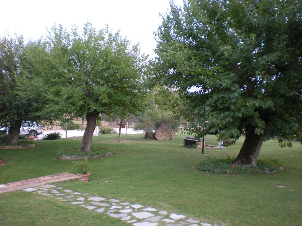 Azienda Agrituristica I Tre Casali มาจิโอเน ห้อง รูปภาพ
