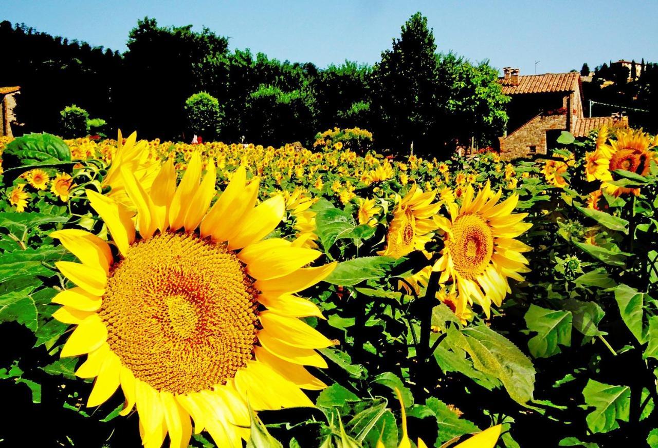 Azienda Agrituristica I Tre Casali มาจิโอเน ภายนอก รูปภาพ